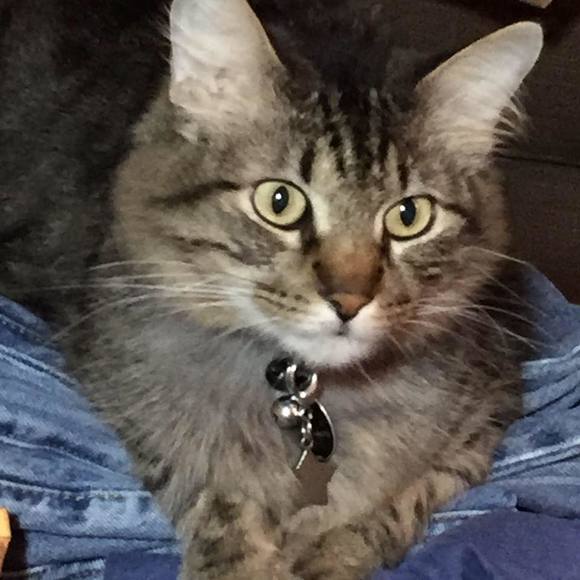 Meet your Posher, Paula - Picture 1 of 1